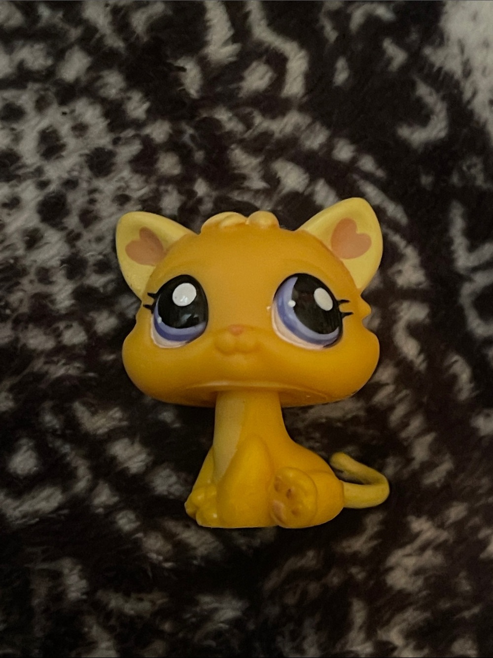 LPS cat